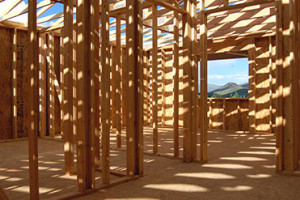 Bukiet Builders Construction